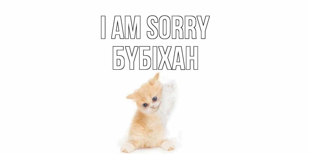 Greetings card с именем, БҮБІХАН I am sorry кот Greetings with text for free download 