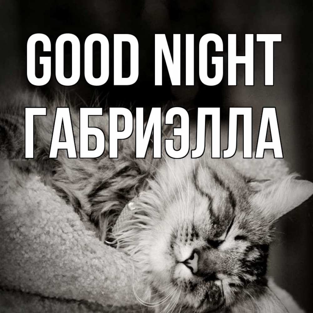 Greetings card с именем, Габриэлла Good night котярик пушистый Greetings with text for free download 