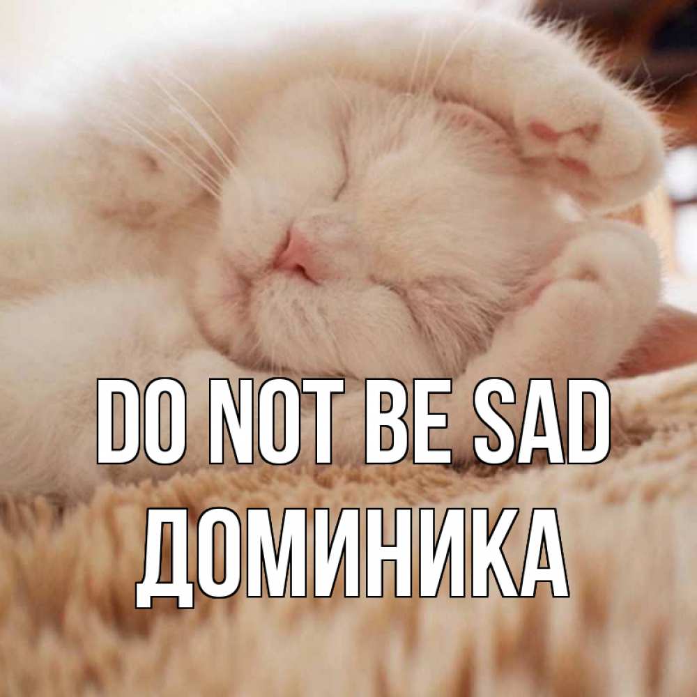 Greetings card с именем, Доминика Do not be sad белый кот Greetings with text for free download 