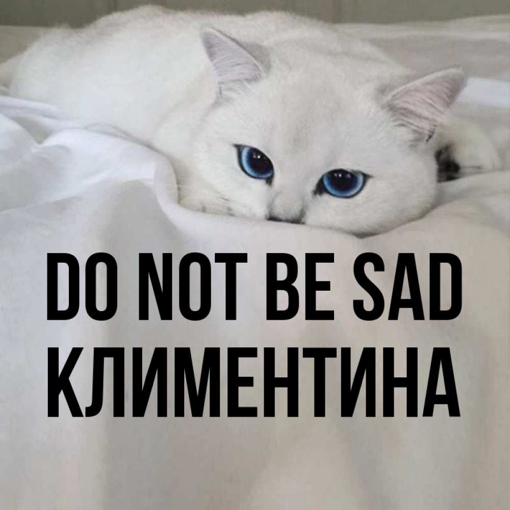 Greetings card с именем, Климентина Do not be sad Голубоглазая кошка Greetings with text for free download 
