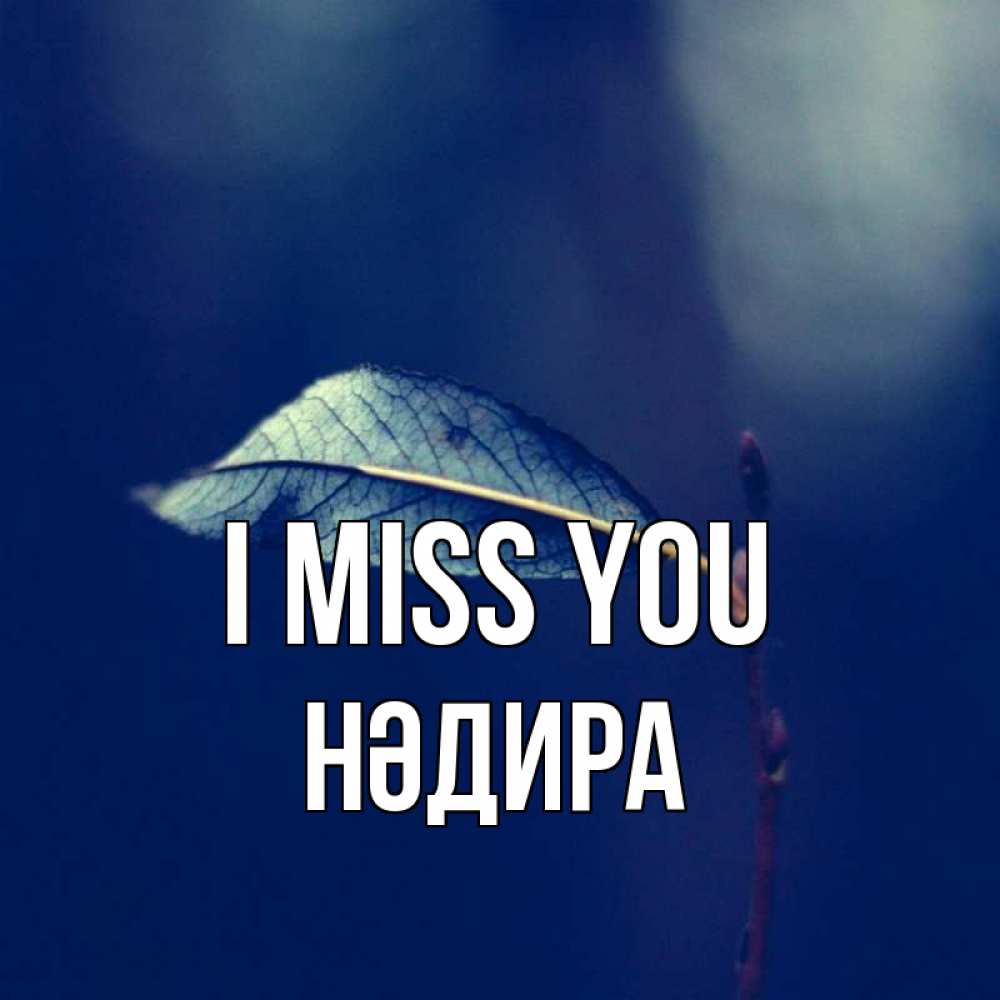 Greetings card с именем, НӘДИРА I miss you одна ветка 1 Greetings with text for free download 