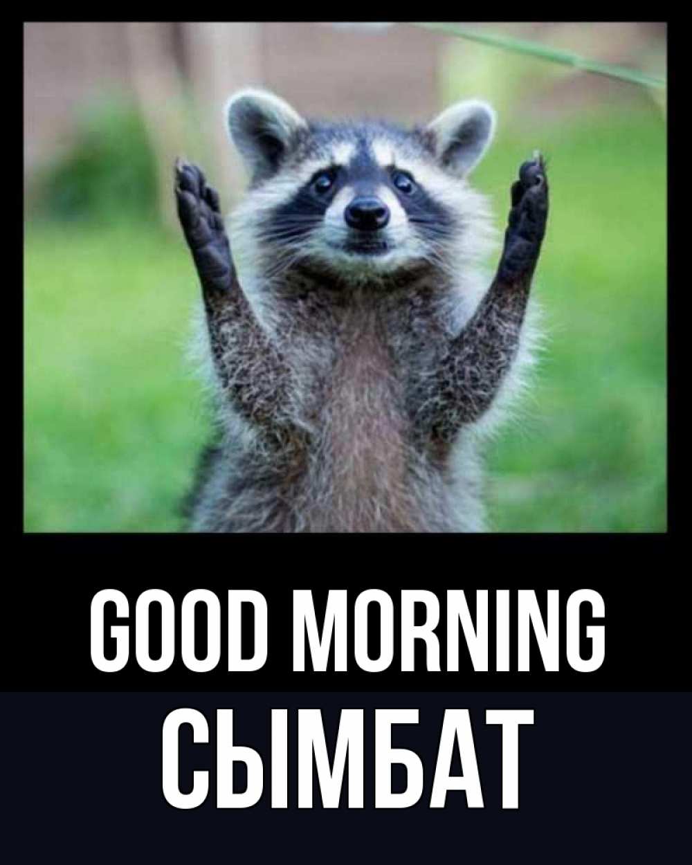 Greetings card с именем, СЫМБАТ Good morning хорошее настроение утречком Greetings with text for free download 