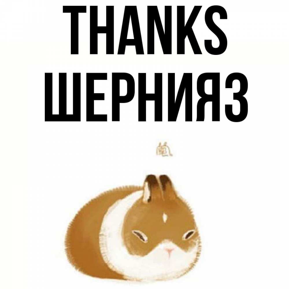 Greetings card с именем, ШЕРНИЯЗ Thanks коричнево белый домашний питомец Greetings with text for free download 