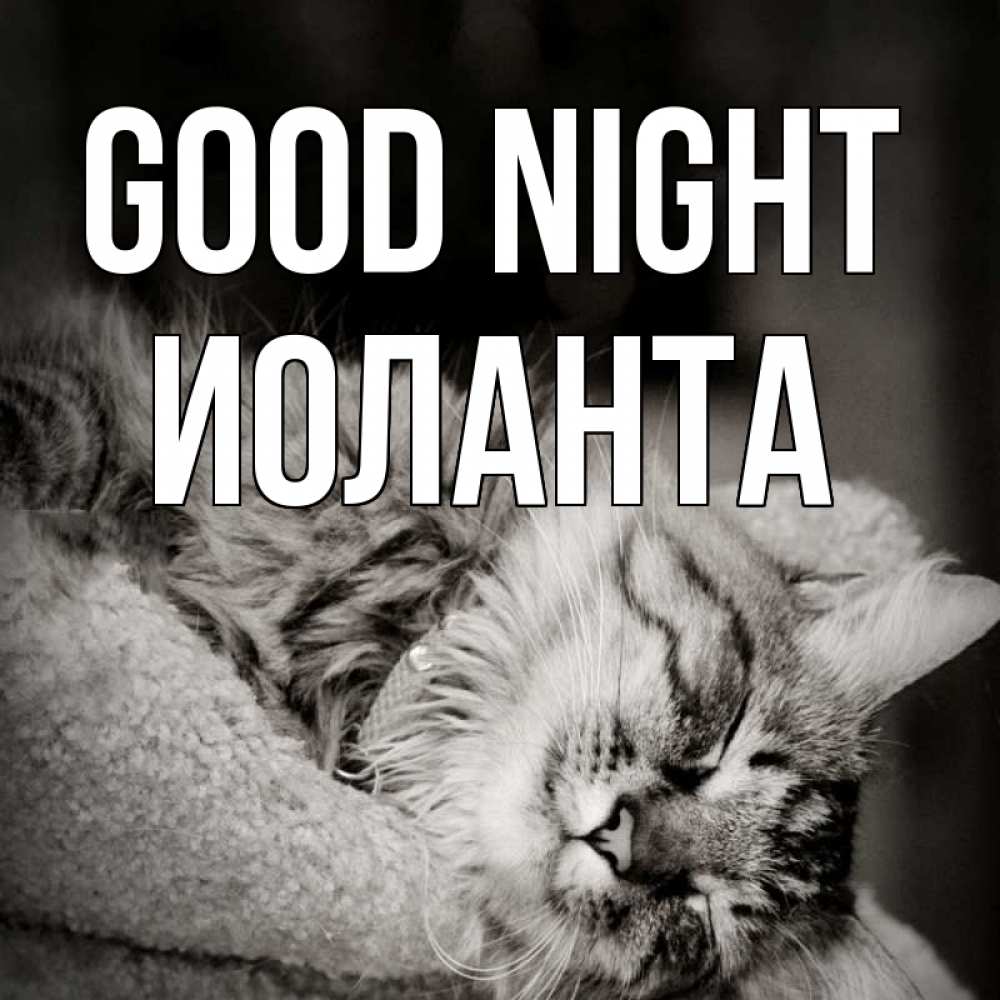 Greetings card с именем, Иоланта Good night котярик пушистый Greetings with text for free download 
