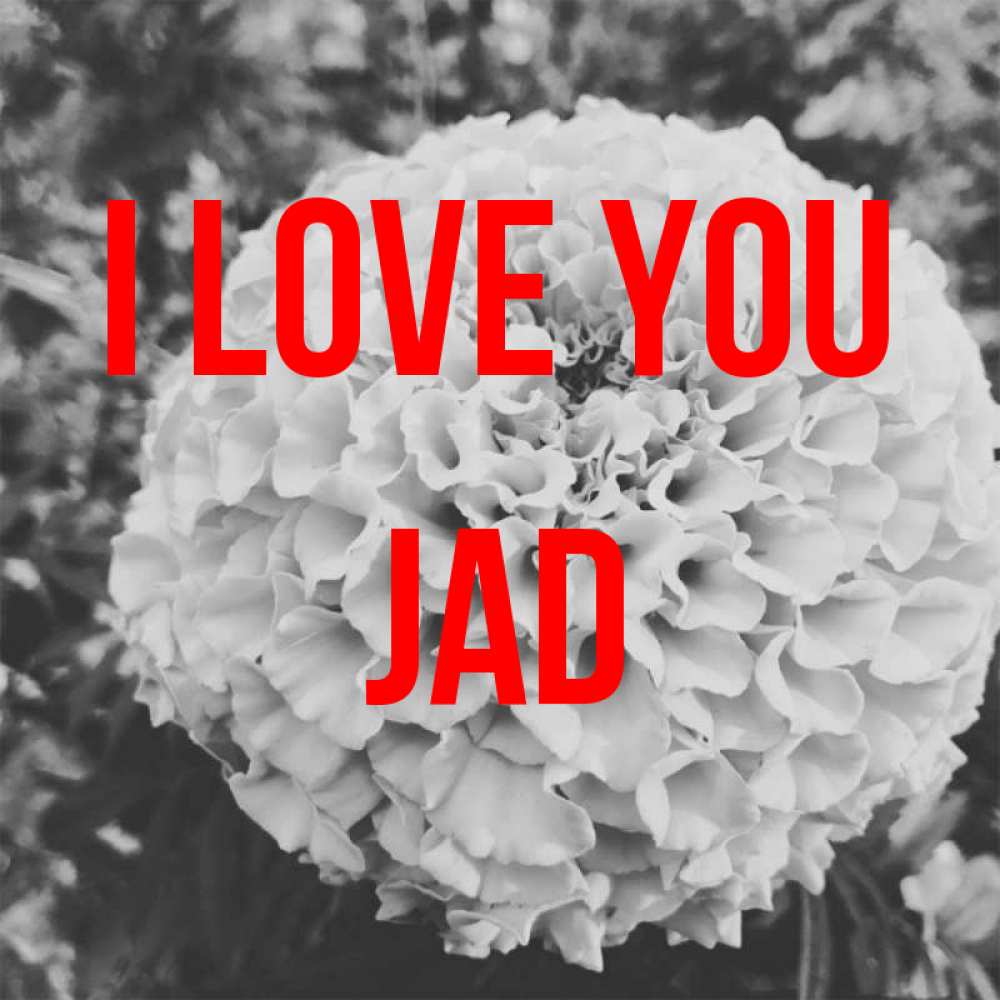 Greetings card с именем, Jad I love you подпись Greetings with text for free download 