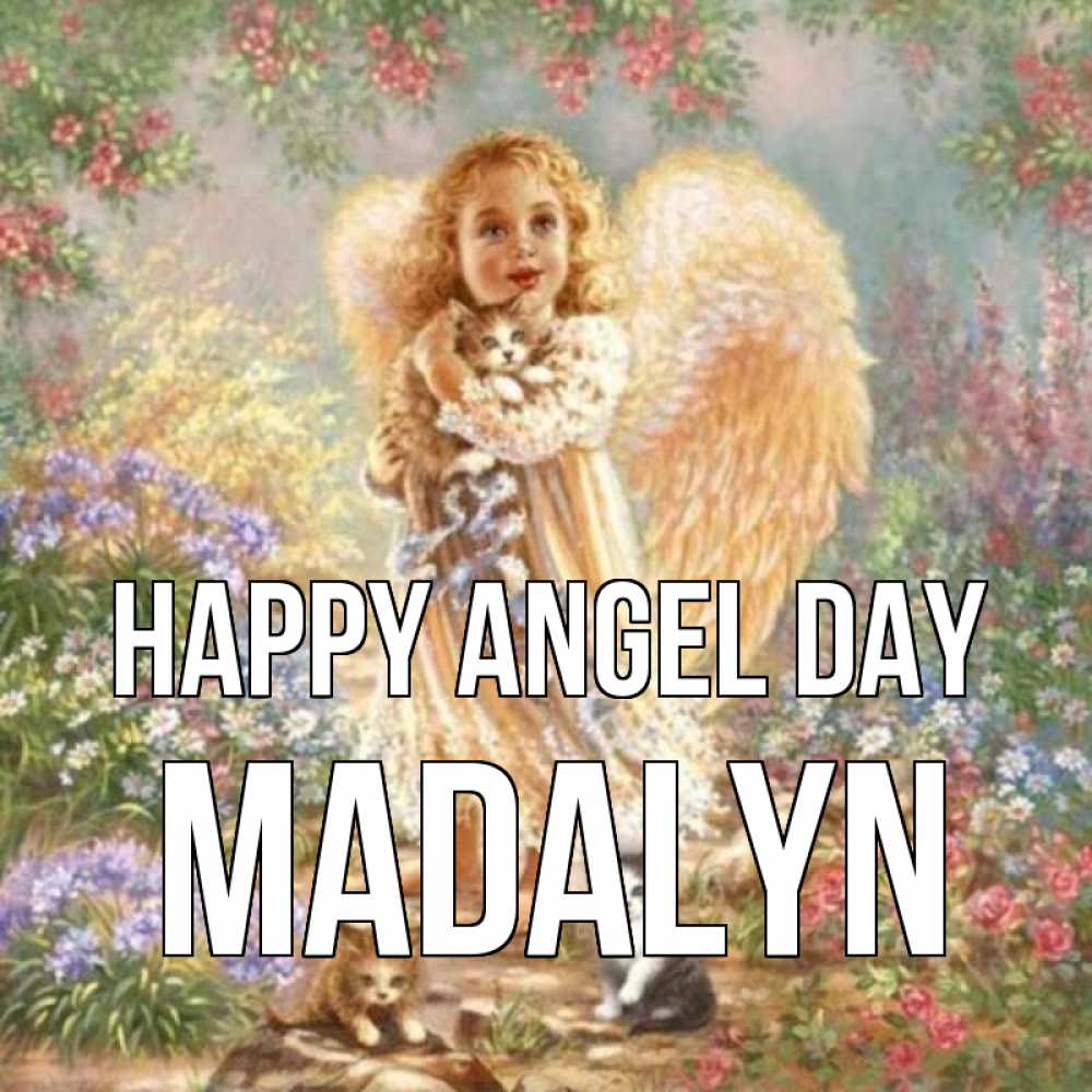 Greetings card с именем, Madalyn happy angel day держит котенка Greetings with text for free download 