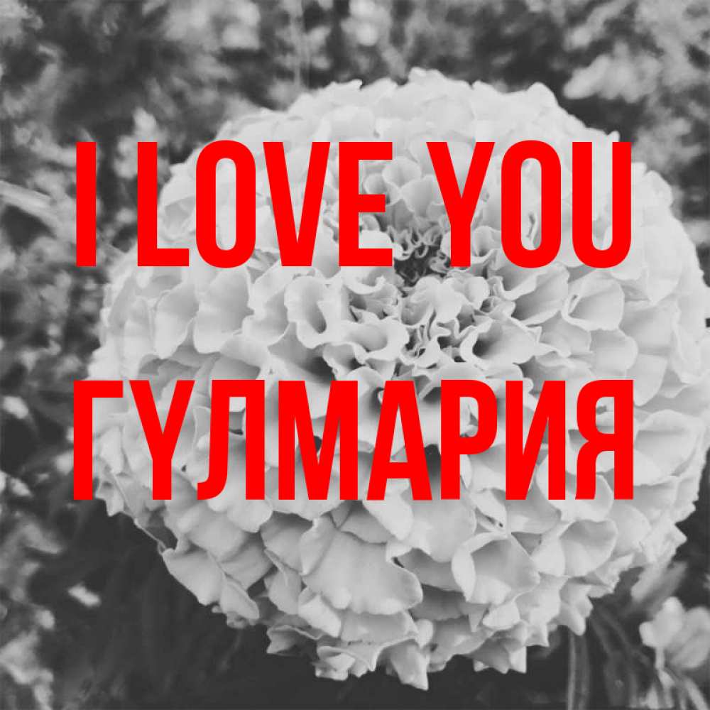 Greetings card с именем, ГҮЛМАРИЯ I love you подпись Greetings with text for free download 