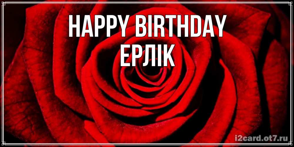 Greetings card с именем, Ерлік Happy Birthday алая роза Greetings with text for free download 
