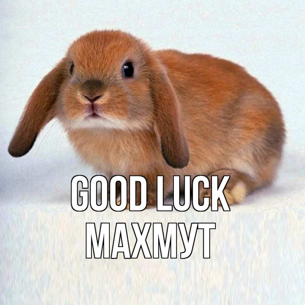 Greetings card с именем, МАХМУТ Good luck вставить текст в открытку по выбору Greetings with text for free download 
