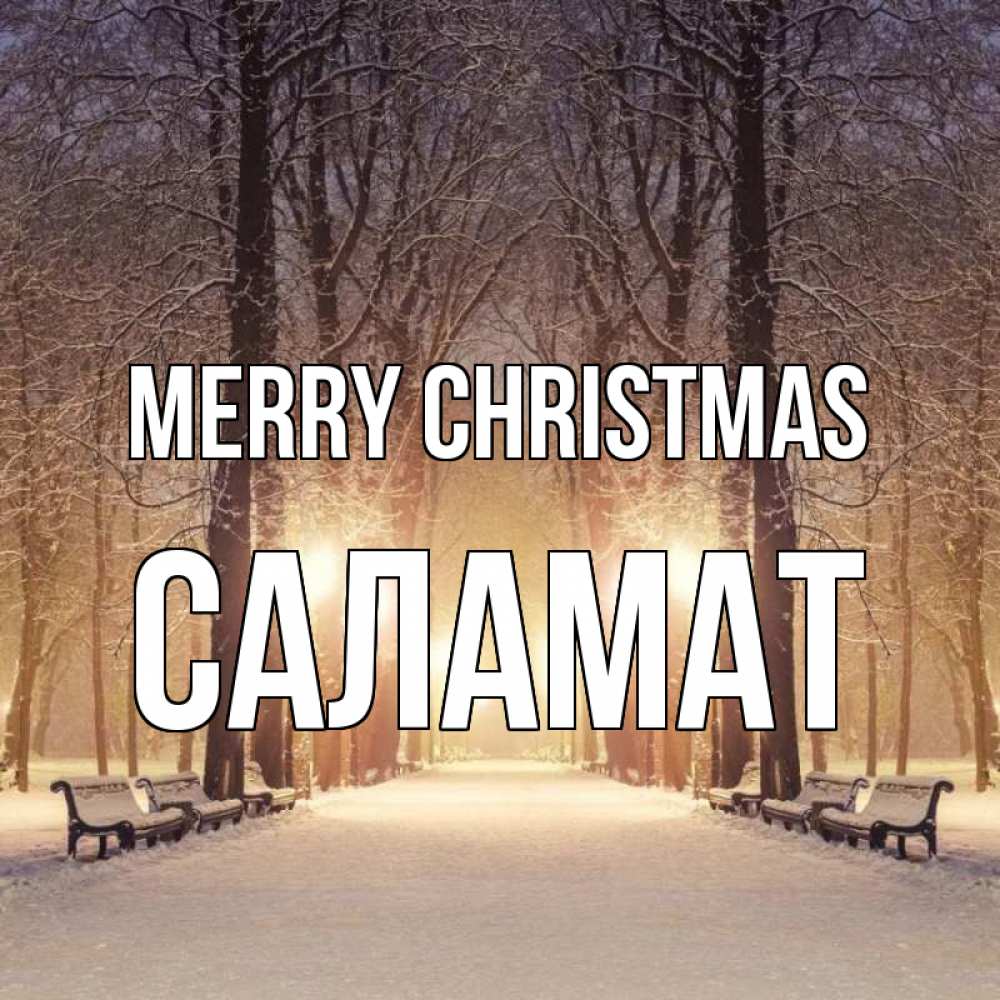 Greetings card с именем, САЛАМАТ Merry Christmas зима, парк, фонарь, лес Greetings with text for free download 