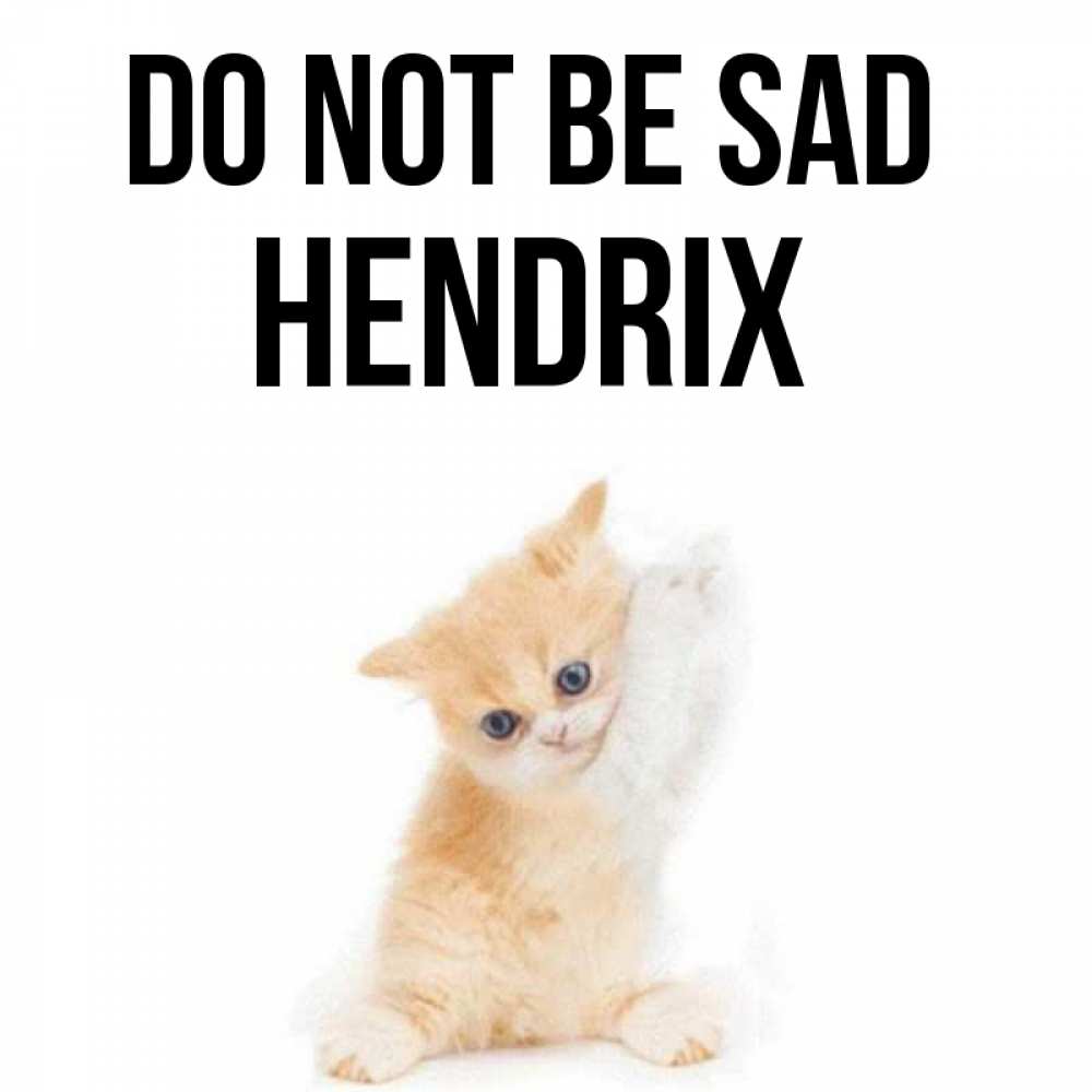 Greetings card с именем, Hendrix Do not be sad просящий кот Greetings with text for free download 