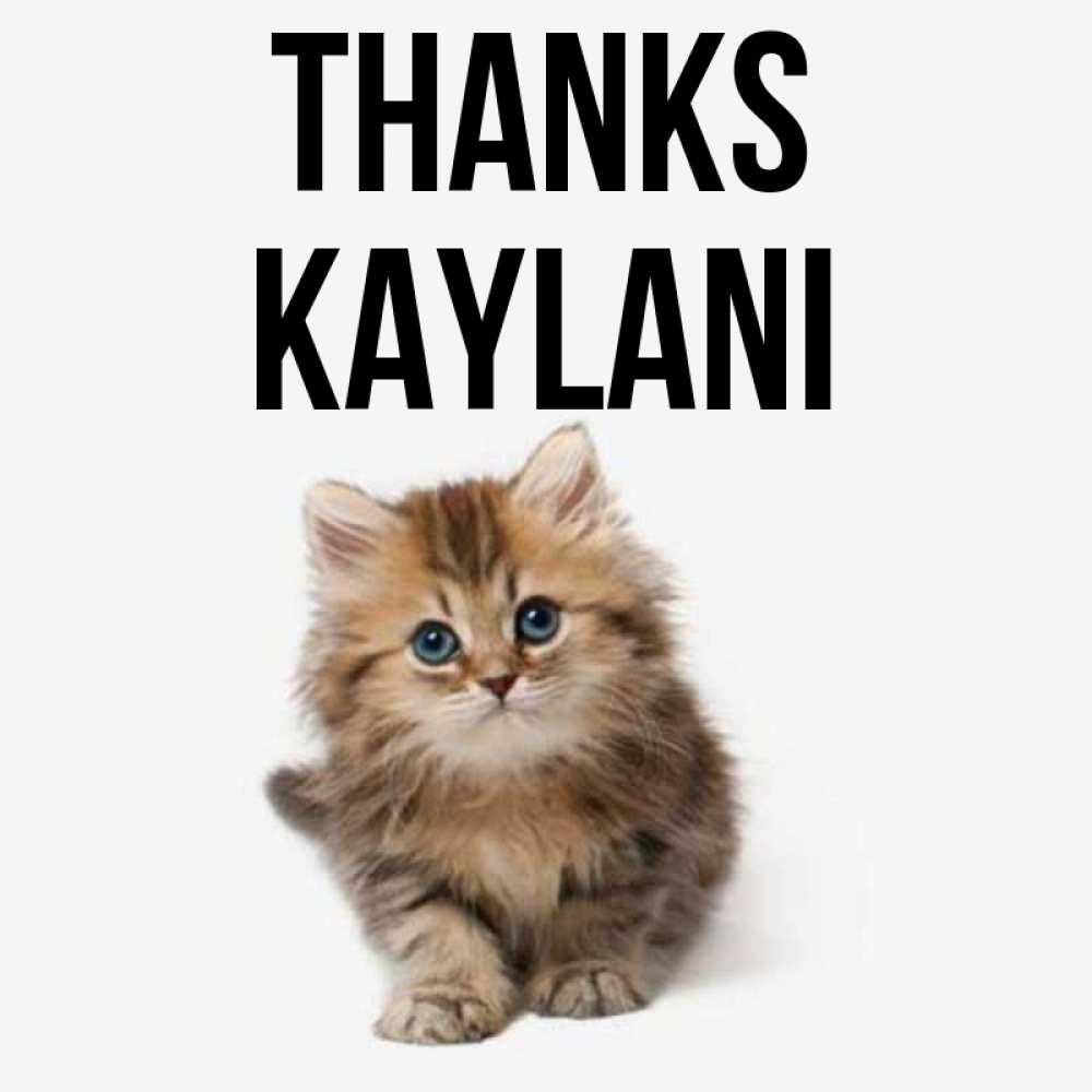 Greetings card с именем, Kaylani Thanks пушистый котик Greetings with text for free download 