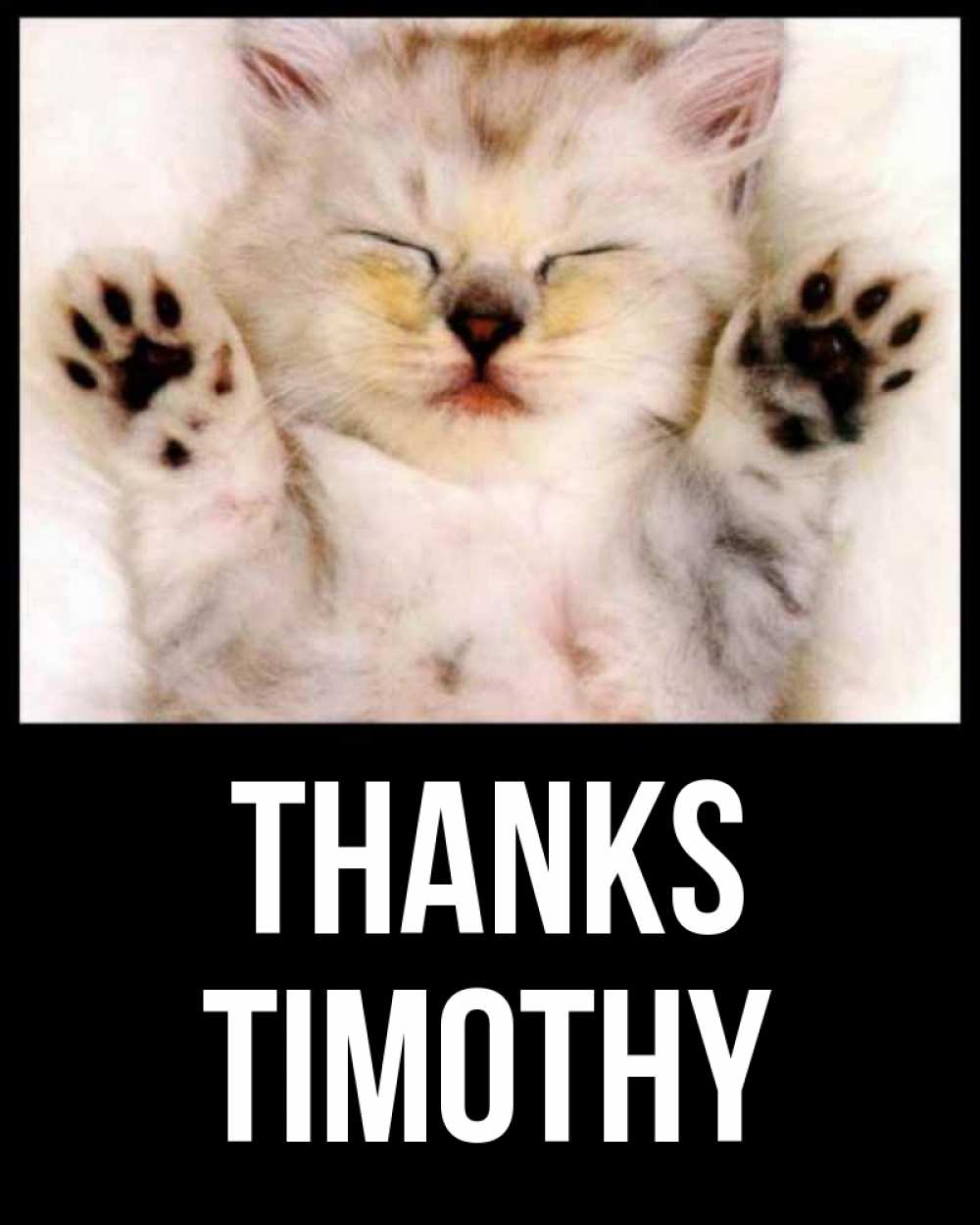 Greetings card с именем, Timothy Thanks маленький котенок Greetings with text for free download 