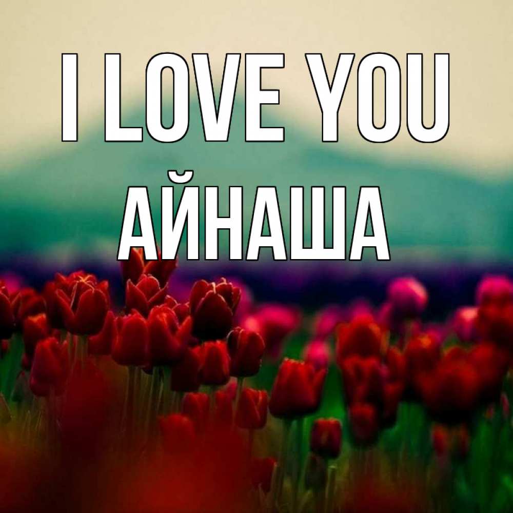 Greetings card с именем, АЙНАША I love you тюльпаны 4 Greetings with text for free download 