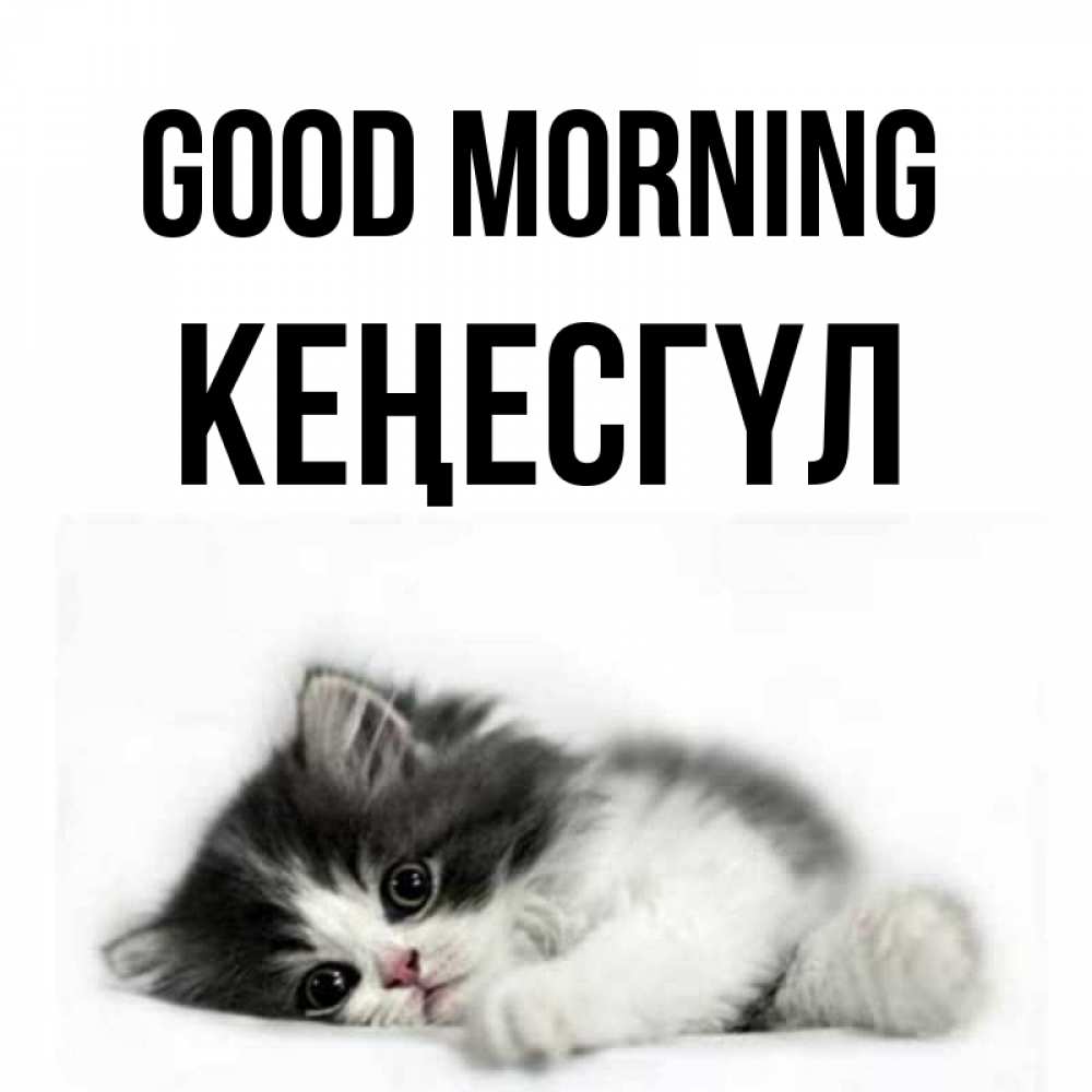 Greetings card с именем, КЕҢЕСГҮЛ Good morning кот лапки Greetings with text for free download 