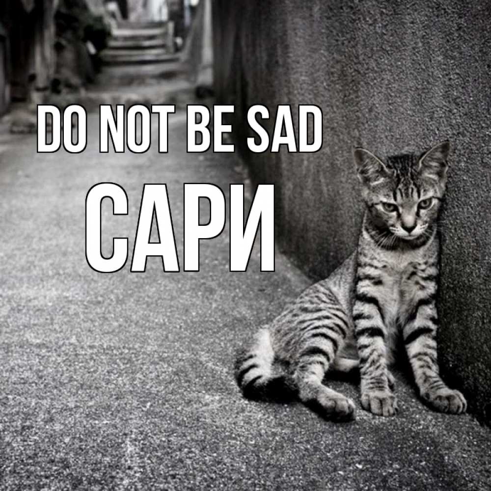 Greetings card с именем, САРИ Do not be sad скучающий котик Greetings with text for free download 