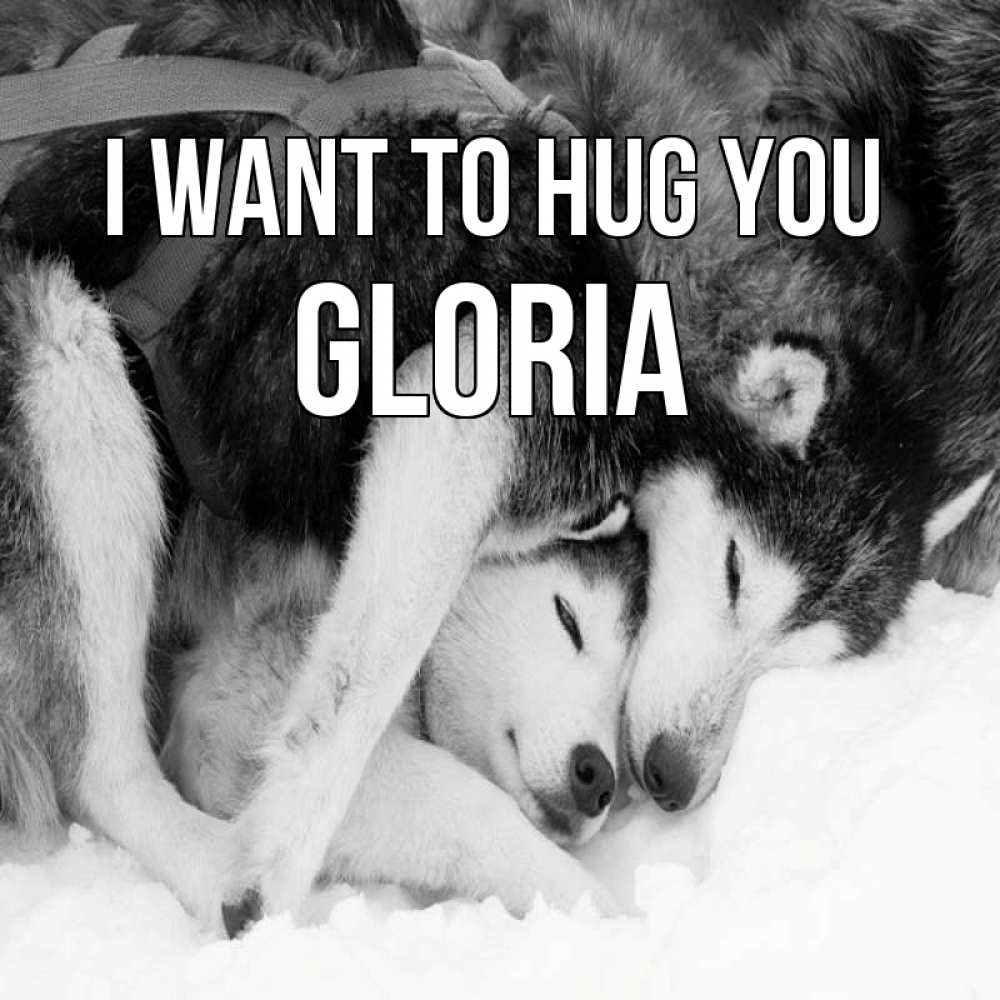 Greetings card с именем, Gloria I want to hug you собачки в упряжке Greetings with text for free download 