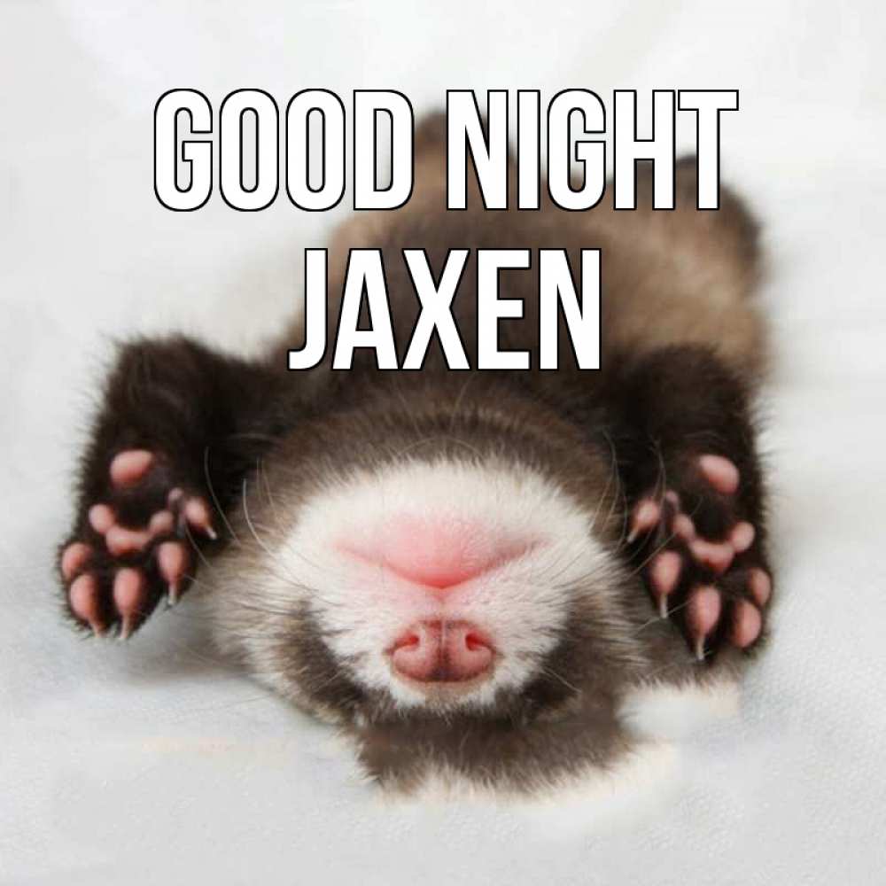 Greetings card с именем, Jaxen Good night зверек Greetings with text for free download 