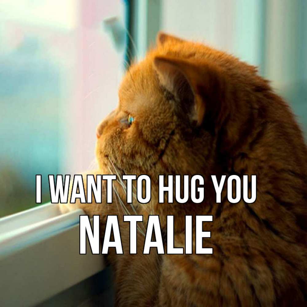 Greetings card с именем, Natalie I want to hug you большой огромный рыжий котяра Greetings with text for free download 