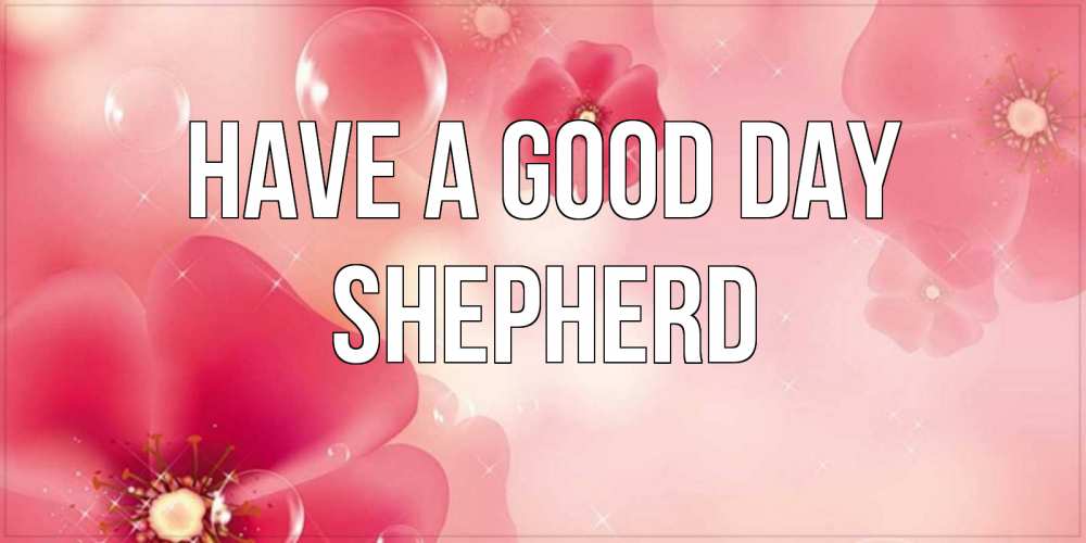 Greetings card с именем, Shepherd Have a good day красивая открытка с цветами Greetings with text for free download 
