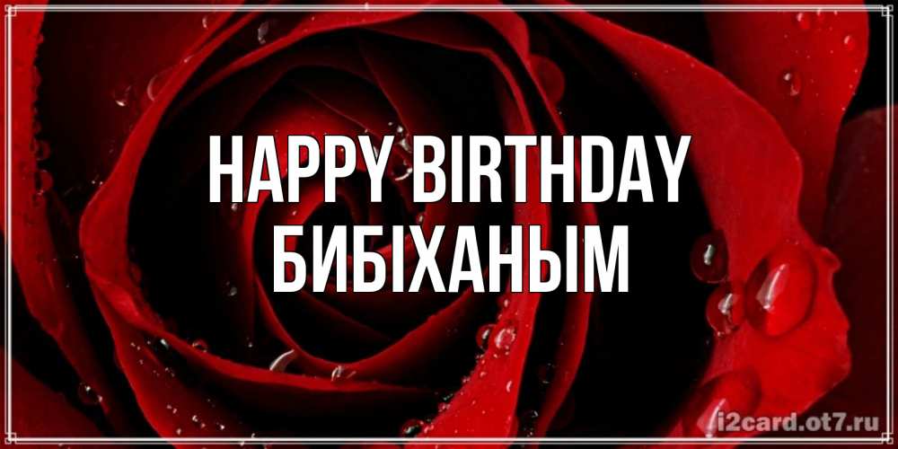 Greetings card с именем, БИБІХАНЫМ Happy Birthday крупная бордовая роза Greetings with text for free download 