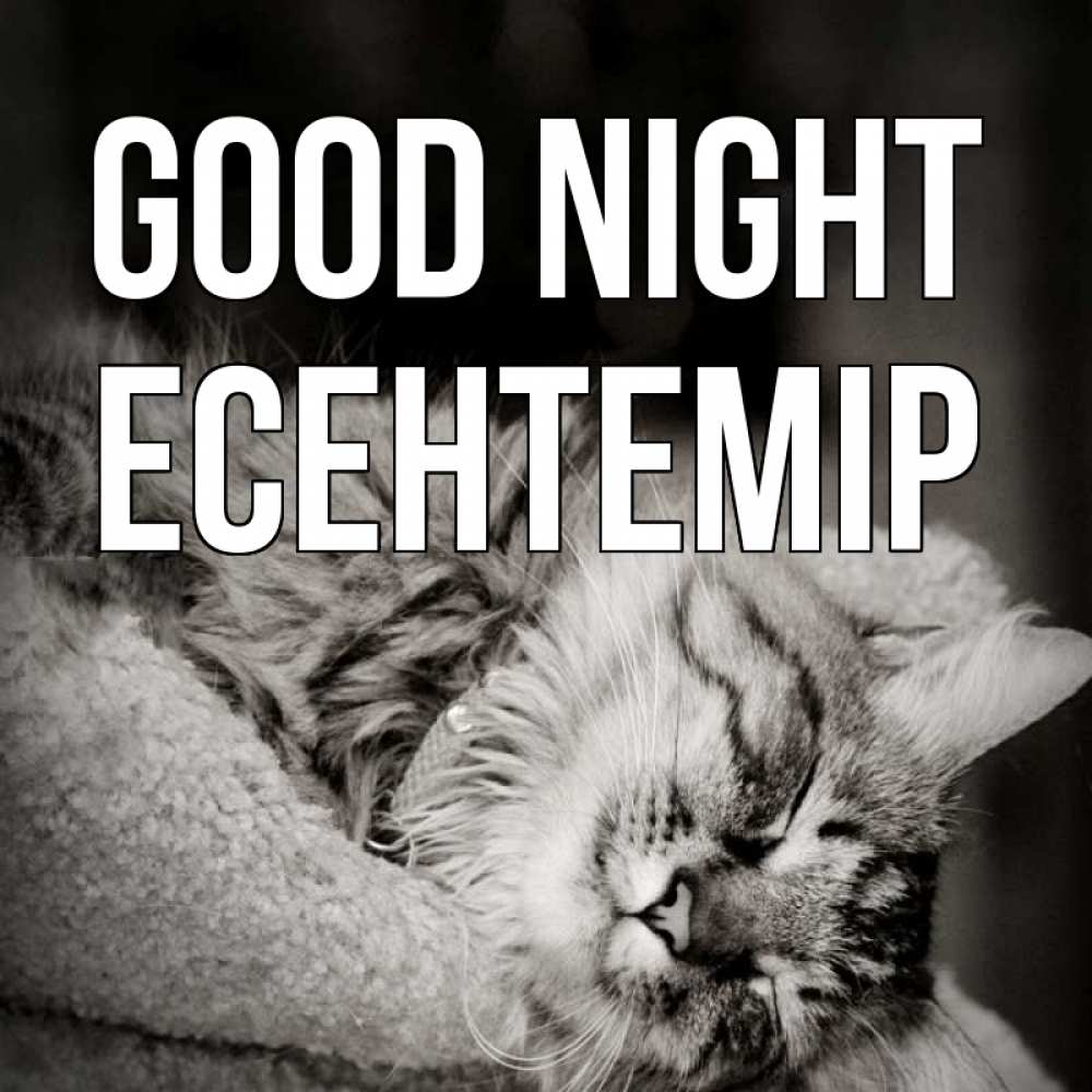 Greetings card с именем, Есентемір Good night котярик пушистый Greetings with text for free download 