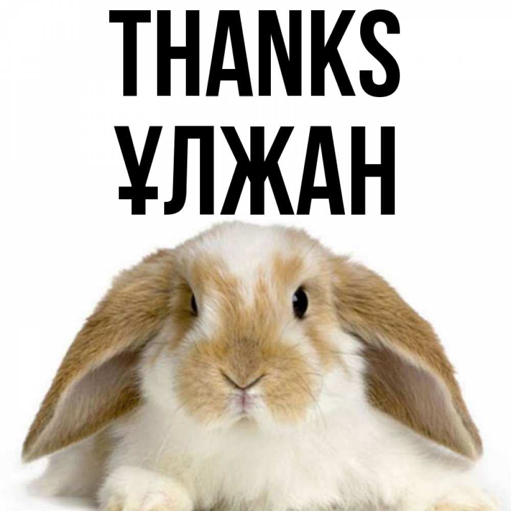 Greetings card с именем, ҰЛЖАН Thanks коричнево белый заяц Greetings with text for free download 