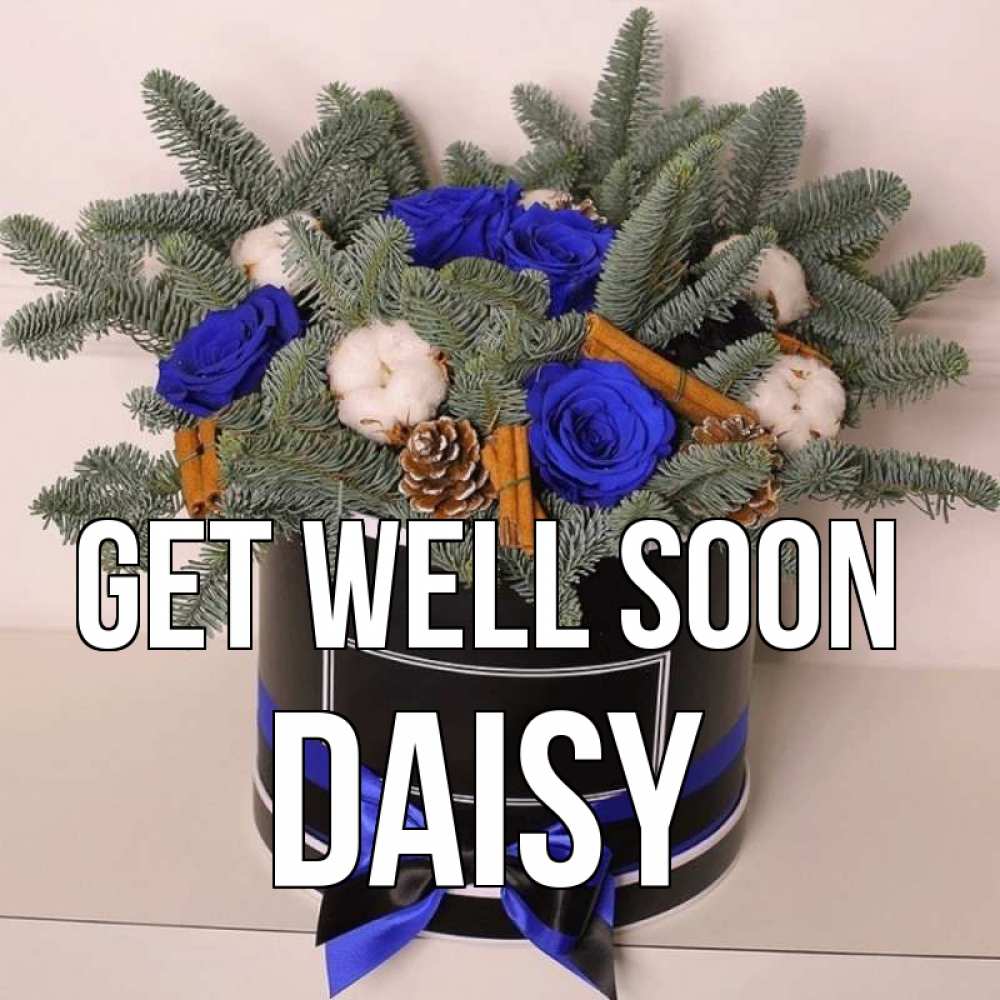 Greetings card с именем, Daisy Get well soon короче кто то загрузил эти шишки Greetings with text for free download 