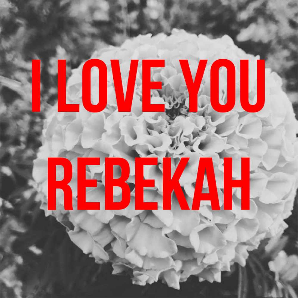 Greetings card с именем, Rebekah I love you подпись Greetings with text for free download 