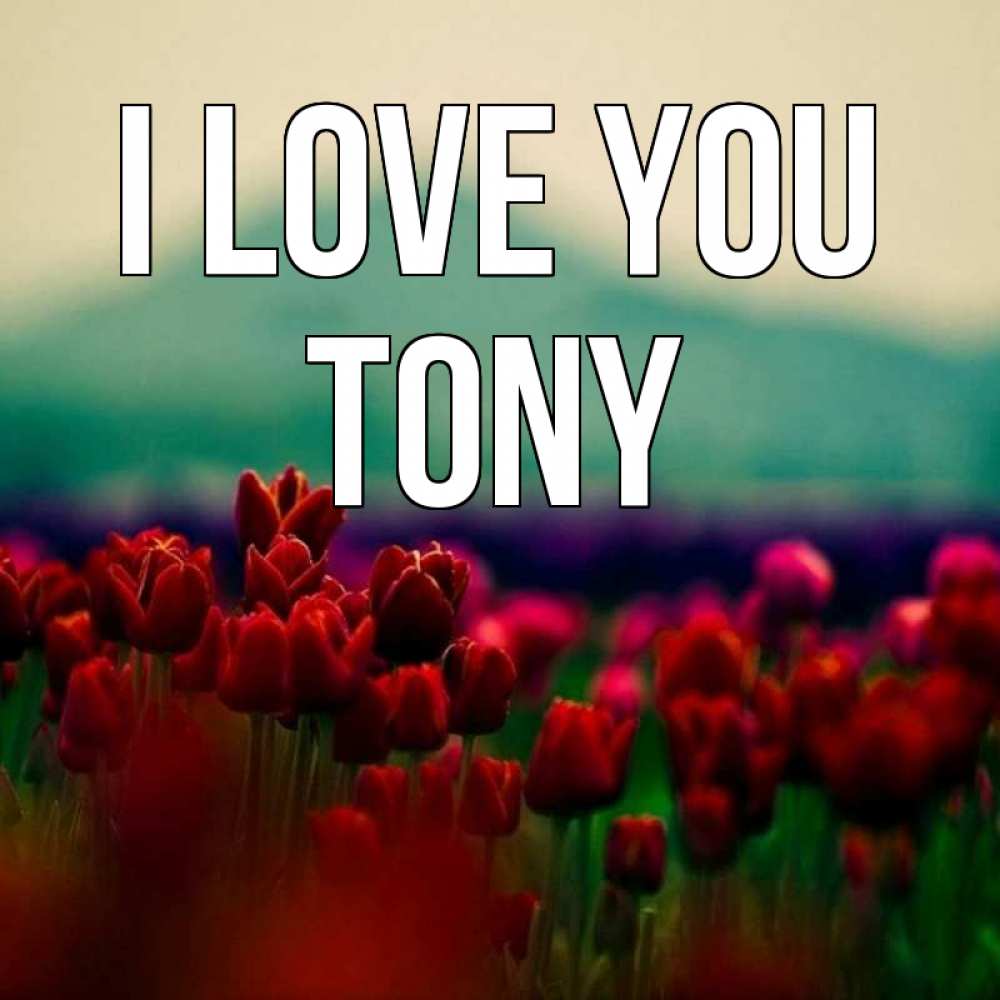Greetings card с именем, Tony I love you тюльпаны 4 Greetings with text for free download 
