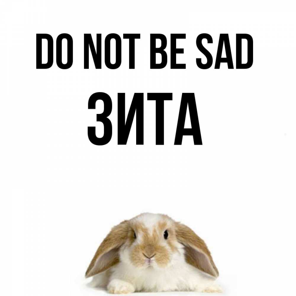 Greetings card с именем, Зита Do not be sad коричнево белый заяц с большими ушками Greetings with text for free download 