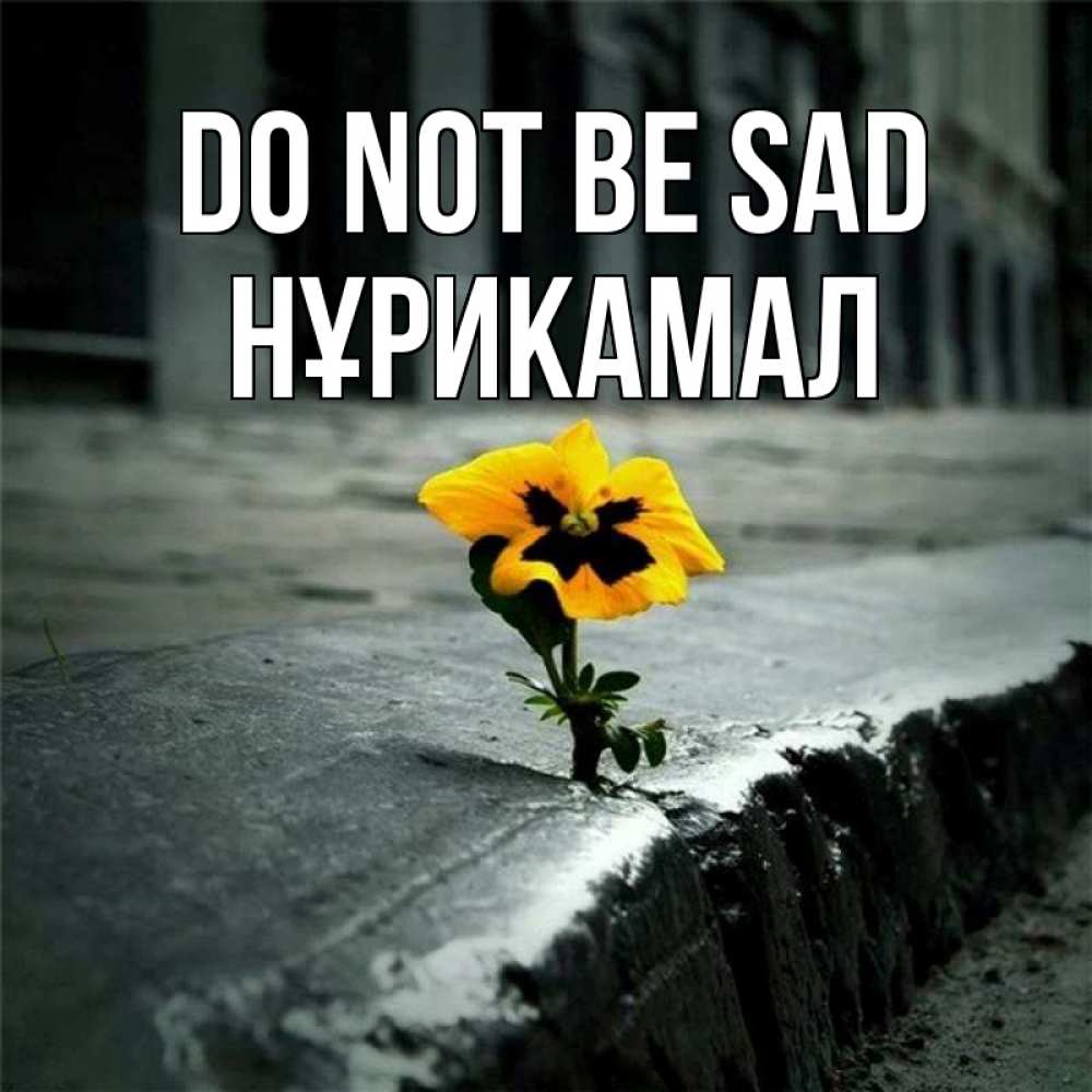 Greetings card с именем, НҰРИКАМАЛ Do not be sad не сдавайся Greetings with text for free download 