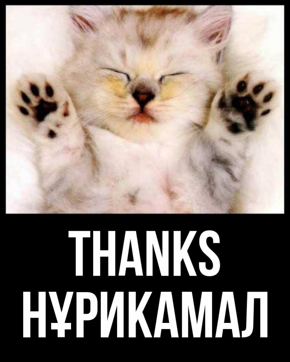 Greetings card с именем, НҰРИКАМАЛ Thanks маленький котенок Greetings with text for free download 