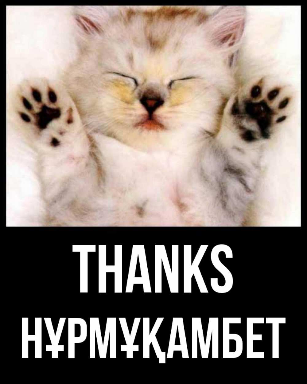 Greetings card с именем, НҰРМҰҚАМБЕТ Thanks маленький котенок Greetings with text for free download 