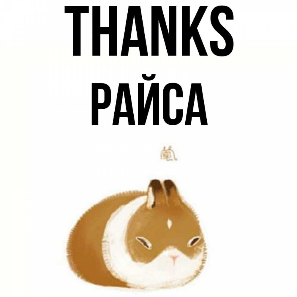 Greetings card с именем, РАЙСА Thanks коричнево белый домашний питомец Greetings with text for free download 