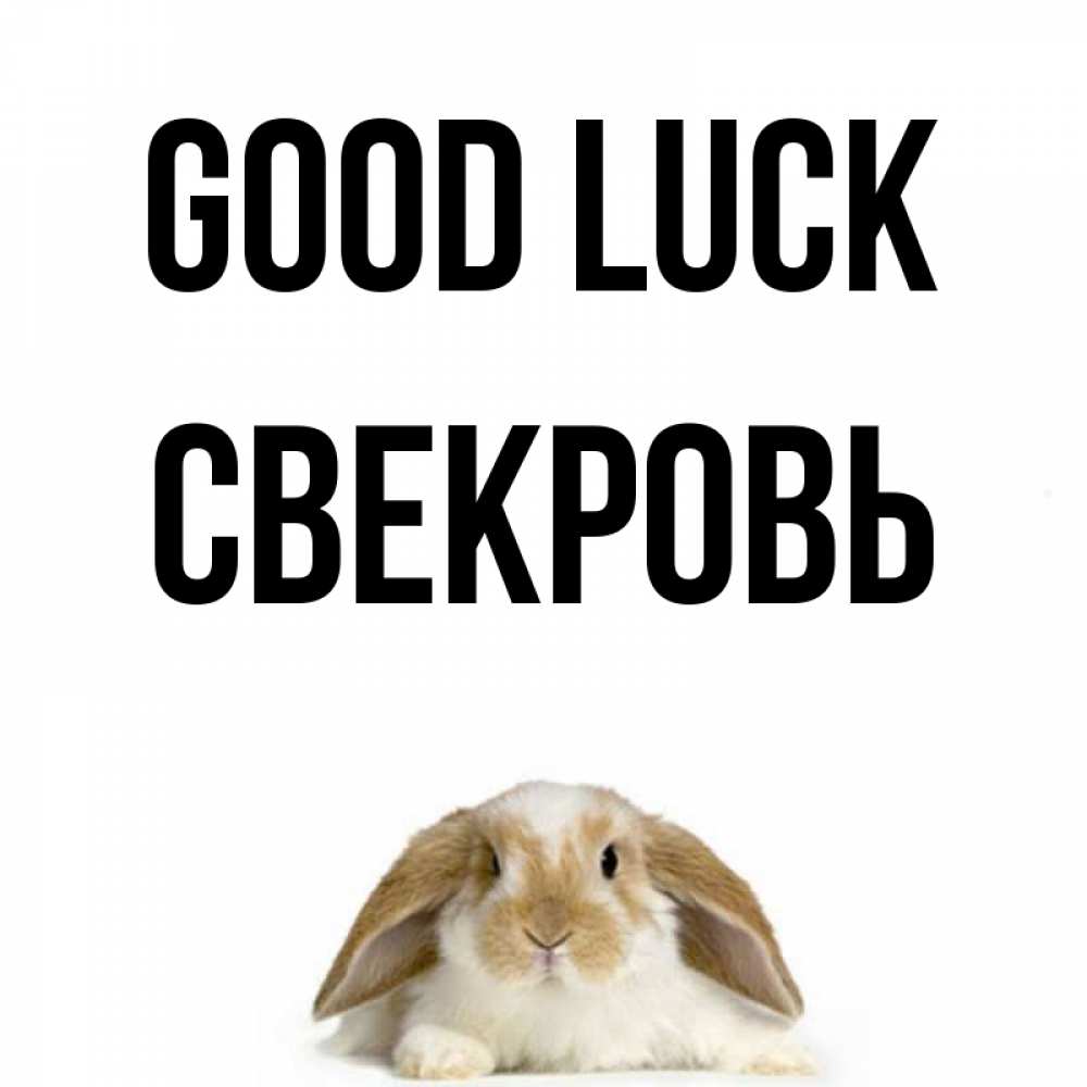 Greetings card с именем, Свекровь Good luck открытки с произвольным текстом который можно вставить в открытку и создать ее самостоятельно бесплатно онлайн Greetings with text for free download 
