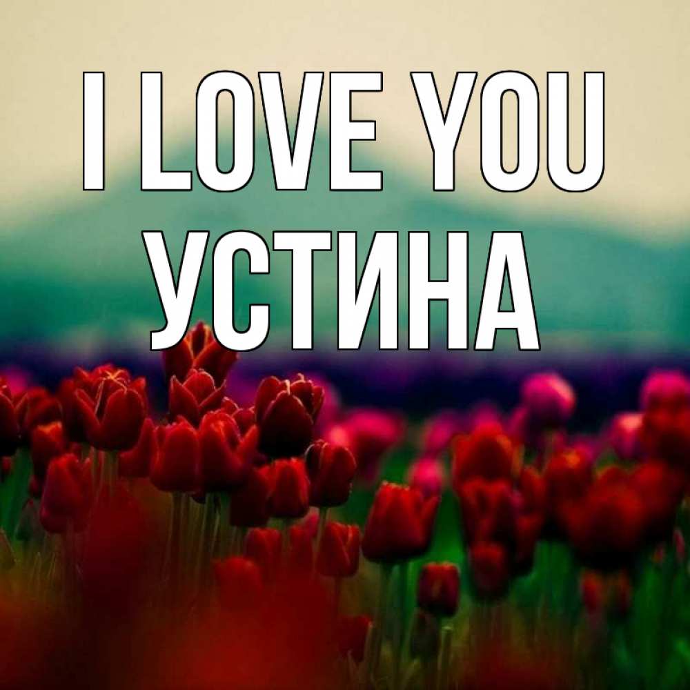 Greetings card с именем, Устина I love you тюльпаны 4 Greetings with text for free download 