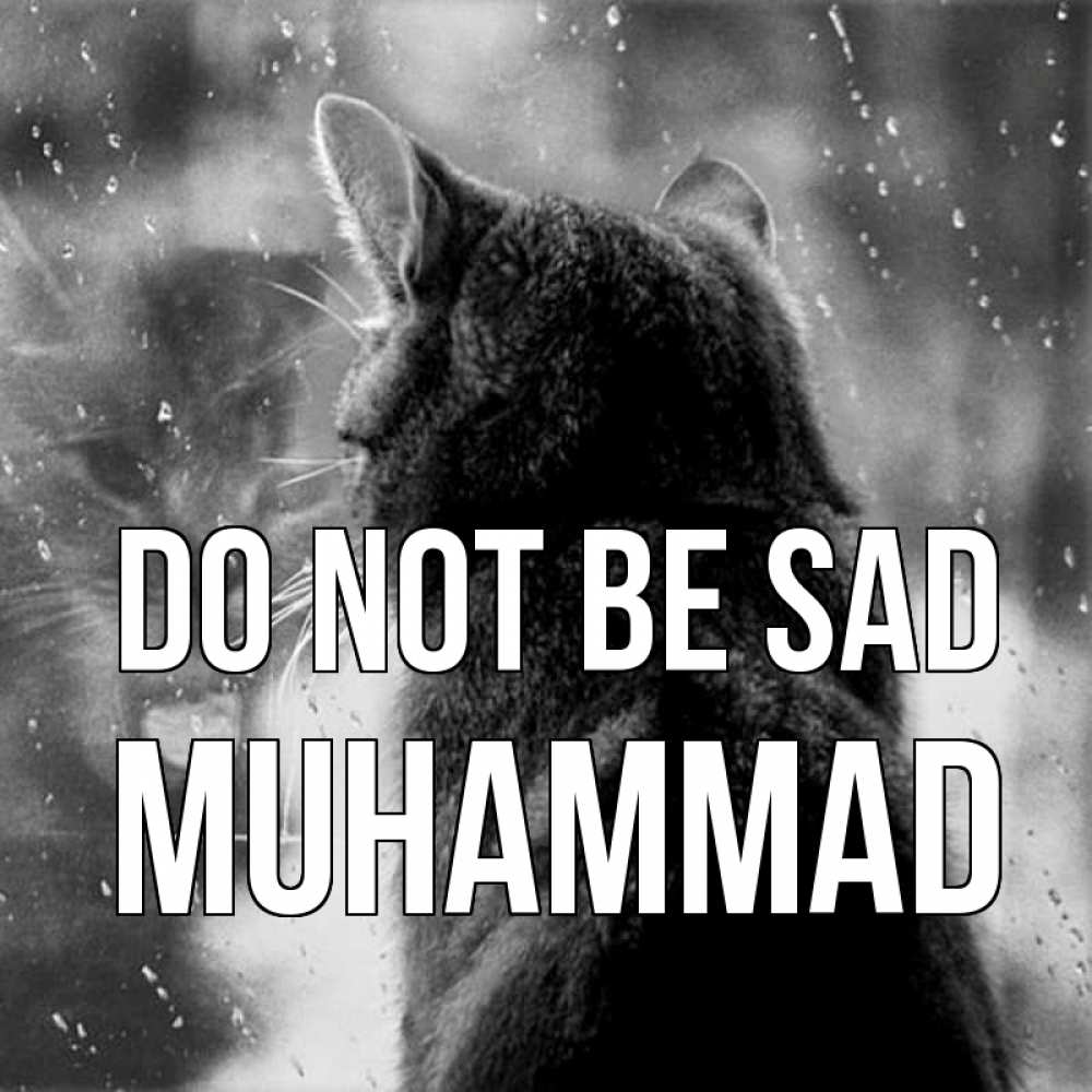Greetings card с именем, Muhammad Do not be sad отражение кота 1 Greetings with text for free download 