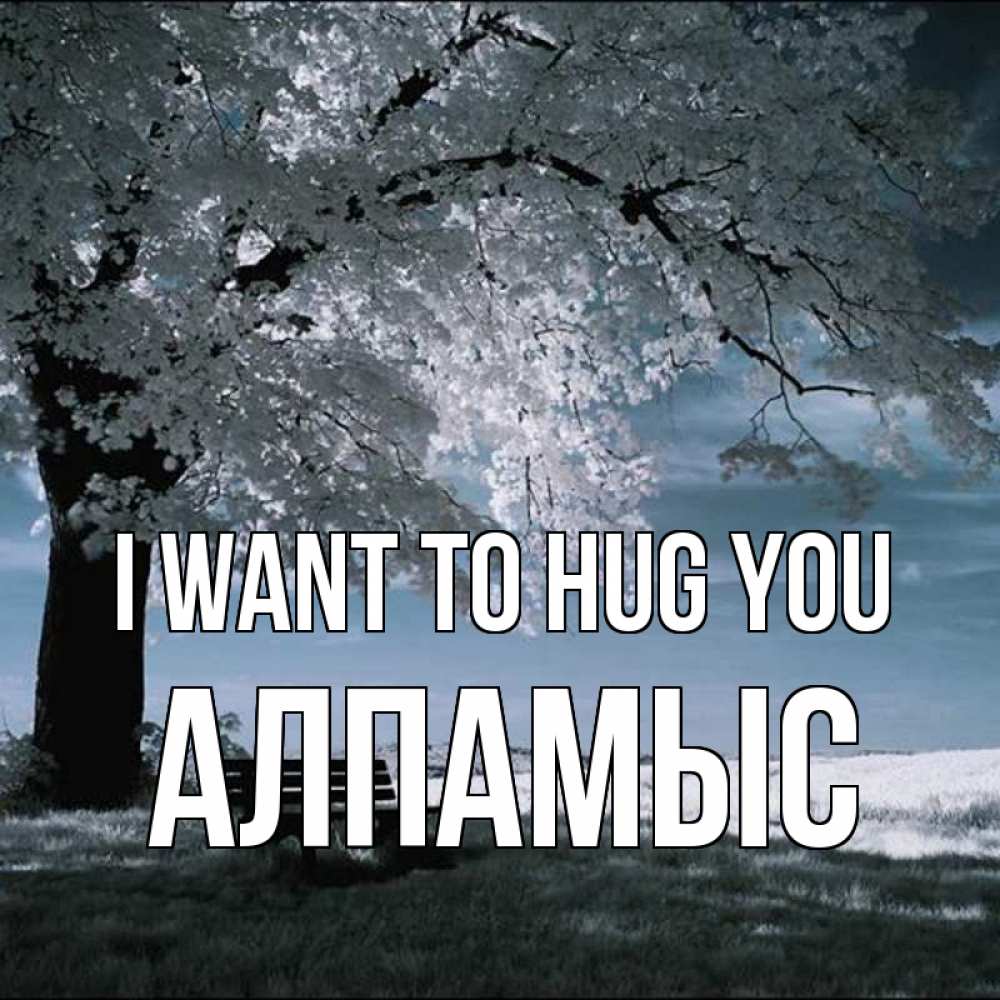 Greetings card с именем, Алпамыс I want to hug you дерево Greetings with text for free download 