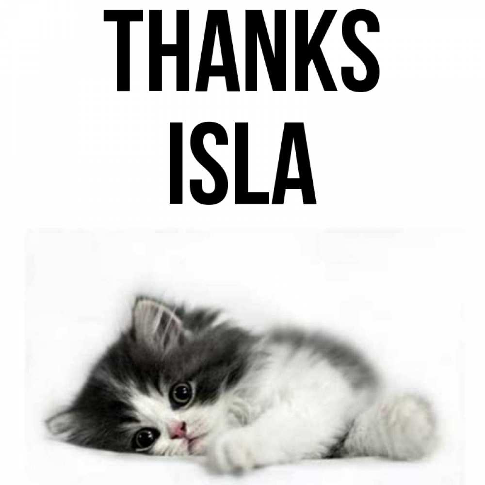 Greetings card с именем, Isla Thanks черный и белый кот Greetings with text for free download 