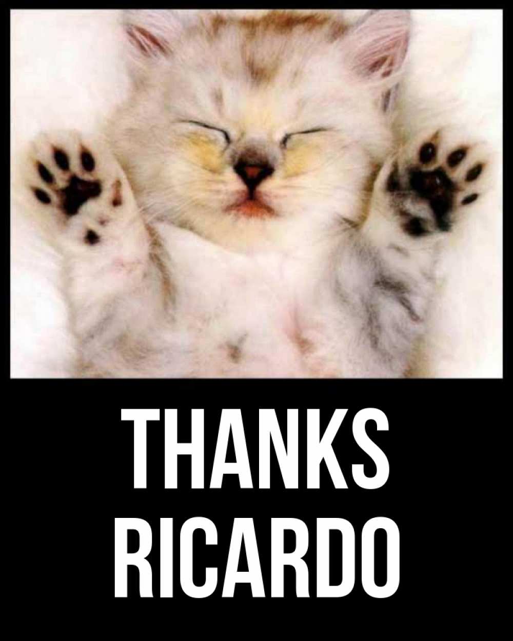 Greetings card с именем, Ricardo Thanks маленький котенок Greetings with text for free download 