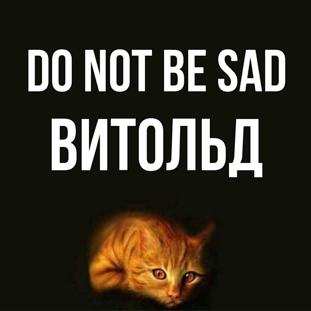 Greetings card с именем, Витольд Do not be sad лежащий кот в темноте Greetings with text for free download 
