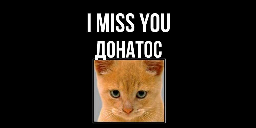 Greetings card с именем, Донатос I miss you открытки рыжий котенок скучает по тебе Greetings with text for free download 