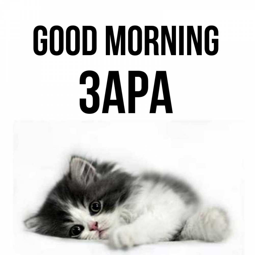 Greetings card с именем, ЗАРА Good morning кот лапки Greetings with text for free download 