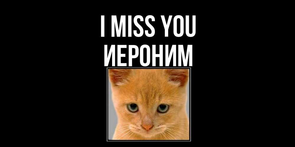 Greetings card с именем, Иероним I miss you открытки рыжий котенок скучает по тебе Greetings with text for free download 