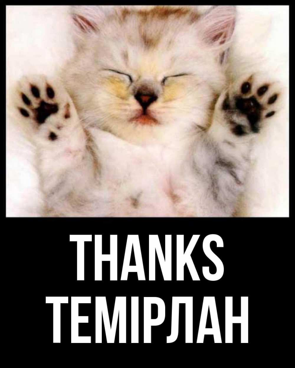 Greetings card с именем, ТЕМІРЛАН Thanks маленький котенок Greetings with text for free download 
