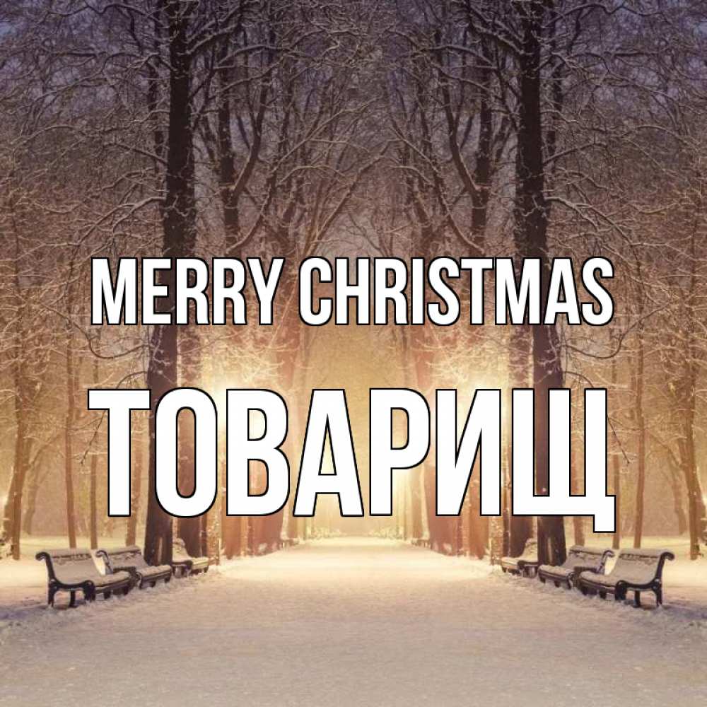 Greetings card с именем, Товарищ Merry Christmas зима, парк, фонарь, лес Greetings with text for free download 
