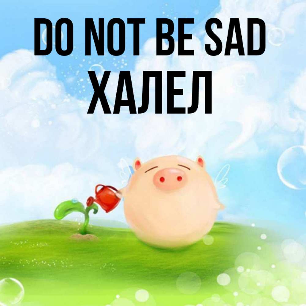 Greetings card с именем, ХАЛЕЛ Do not be sad поливает цветок порося Greetings with text for free download 