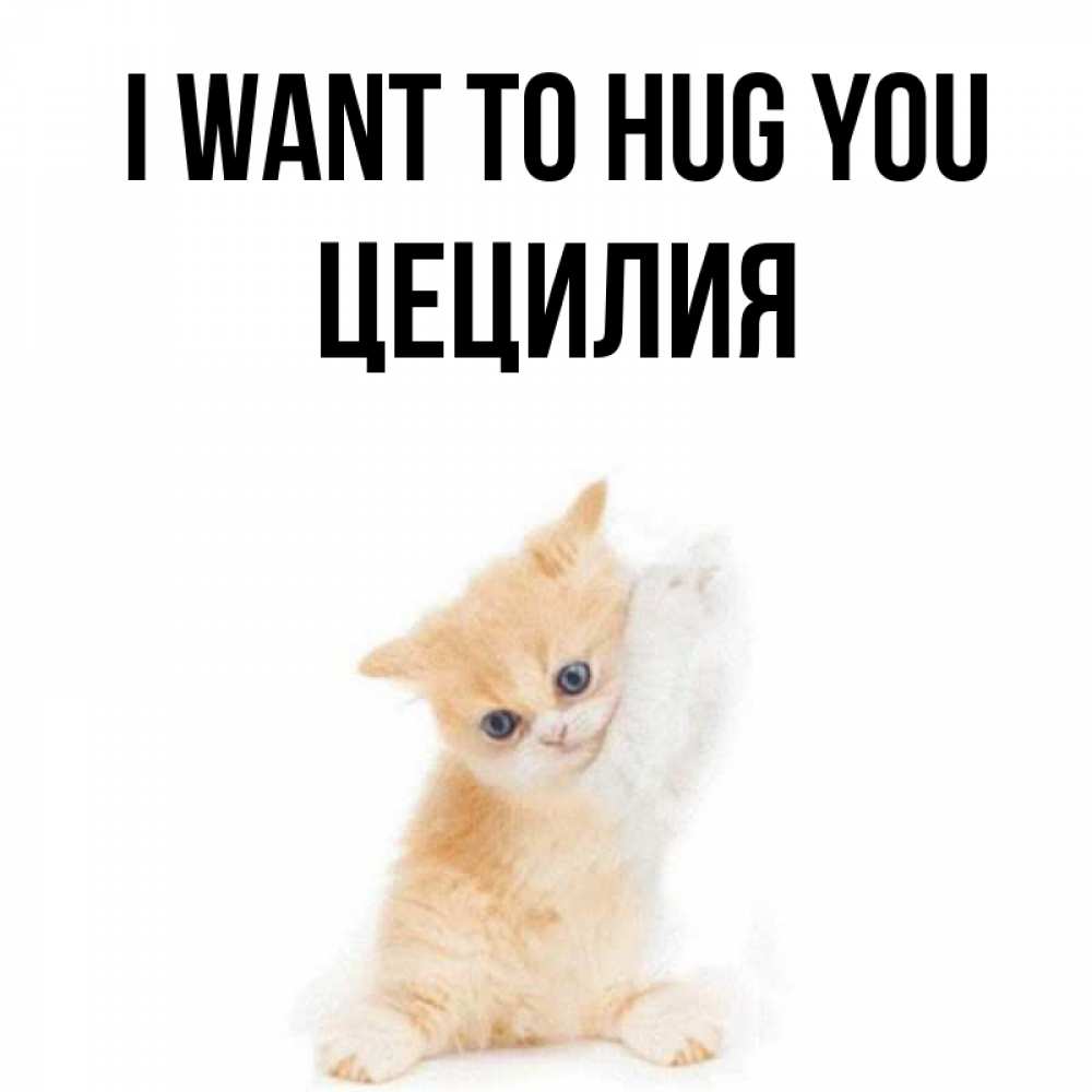 Greetings card с именем, Цецилия I want to hug you я хочу очень скорее обнимаешек Greetings with text for free download 