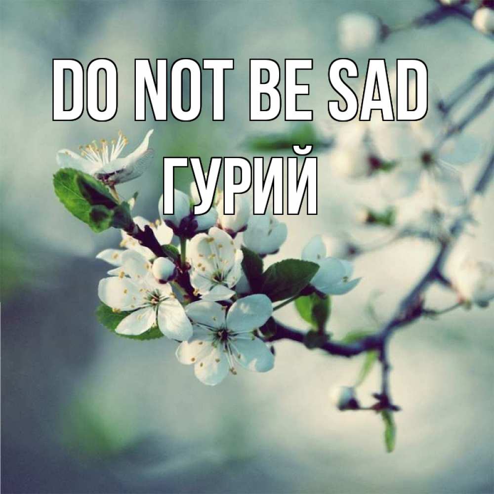 Greetings card с именем, Гурий Do not be sad яблоня в цвету 1 Greetings with text for free download 